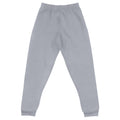 Jogger Premium Gris — vista frontal